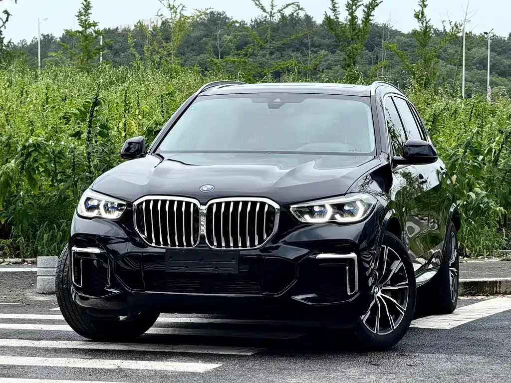 BMW X5 — фото 9