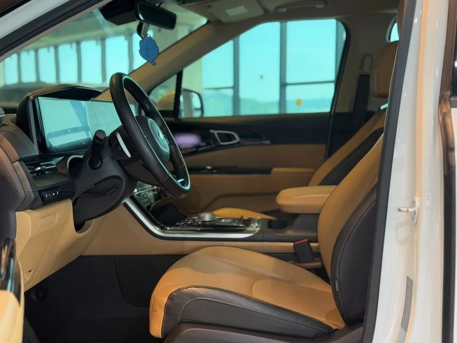 Kia Carnival — фото 10