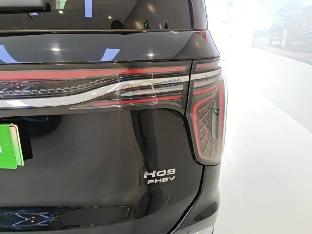 Hongqi HQ9 PHEV — фото 3