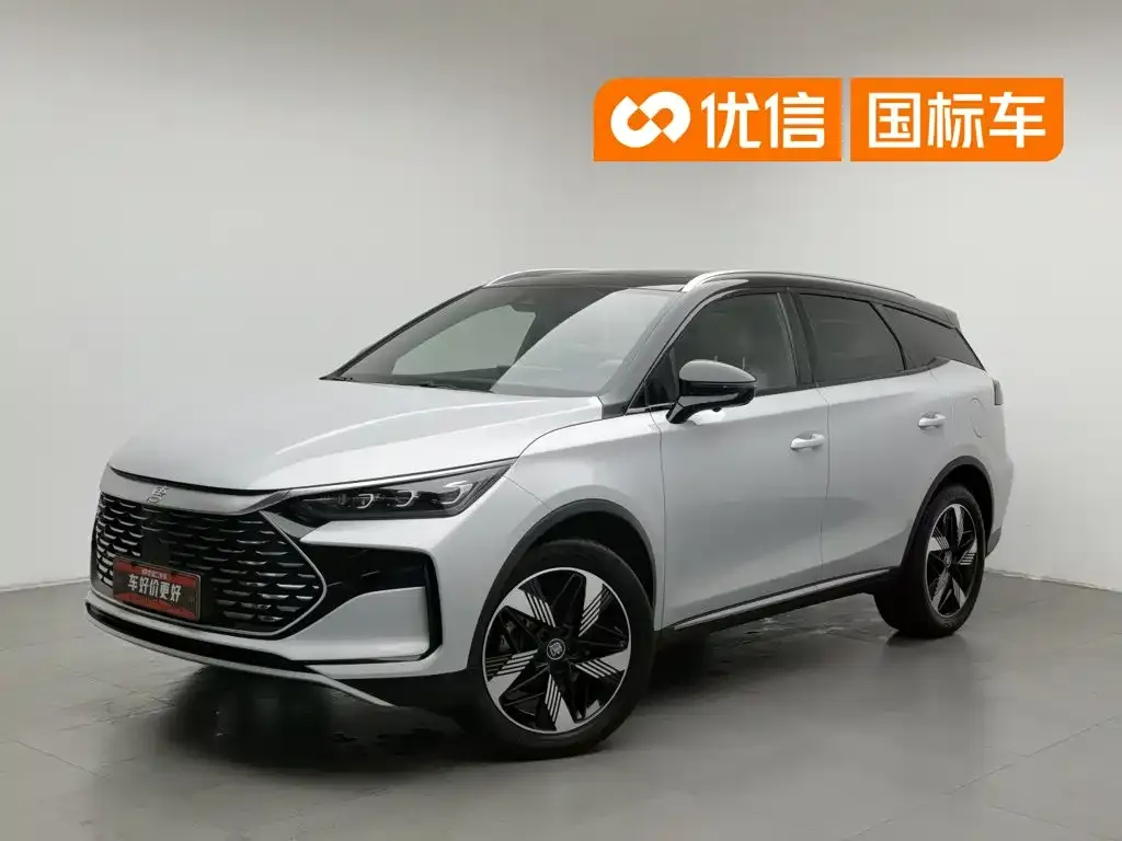 BYD Tang New Energy — фото 1
