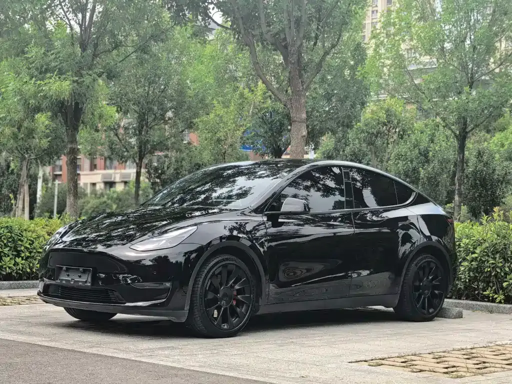 Tesla Model Y — фото 1