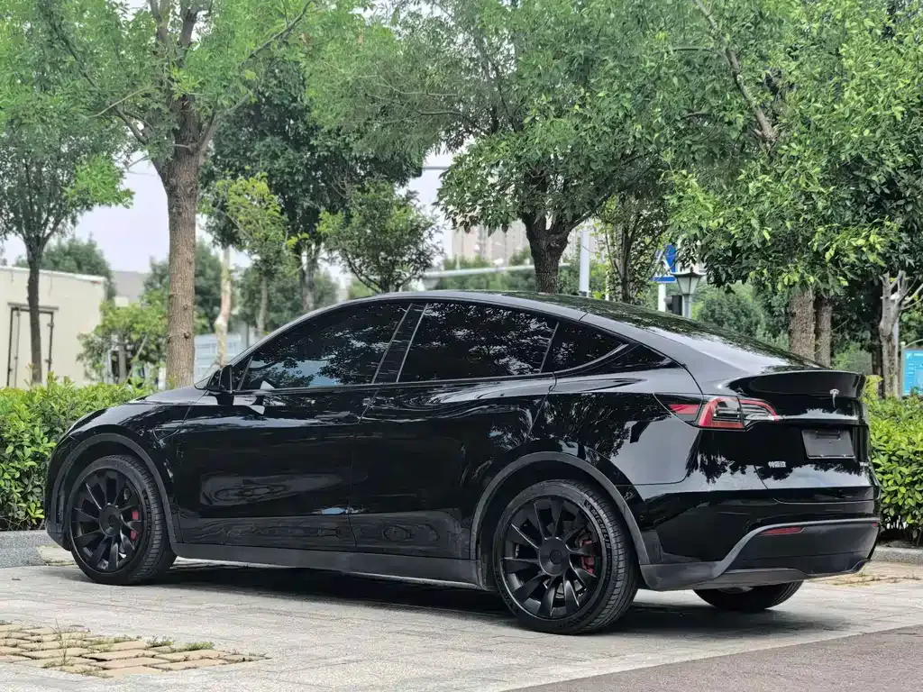 Tesla Model Y — фото 9