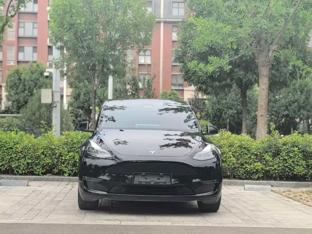 Tesla Model Y — фото 10