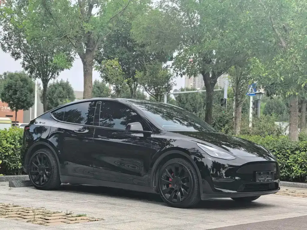 Tesla Model Y — фото 7