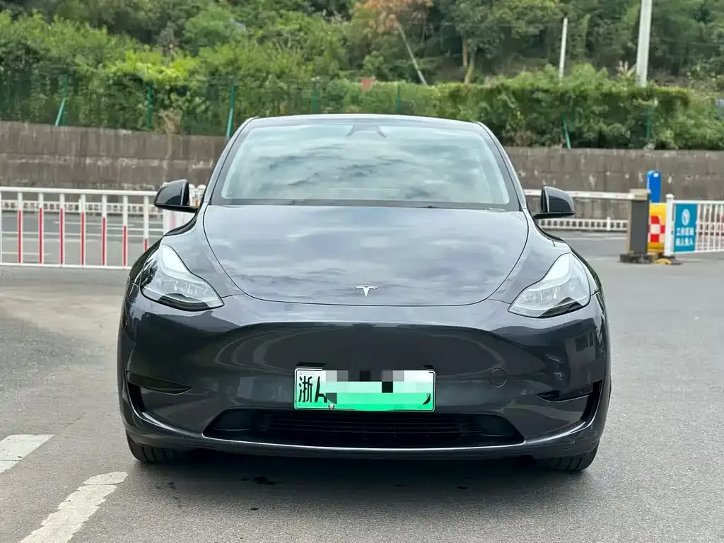 Tesla Model Y — фото 1