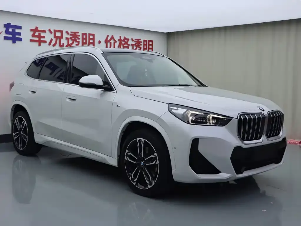 BMW X1 — фото 2