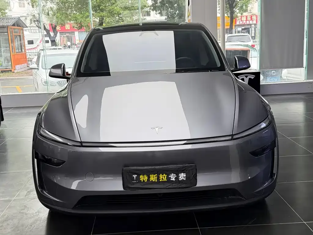 Tesla Model Y — фото 6
