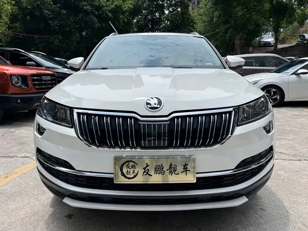 Skoda Karoq — фото 7