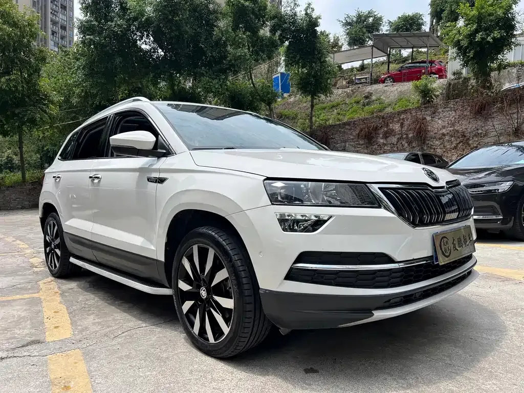 Skoda Karoq — фото 6