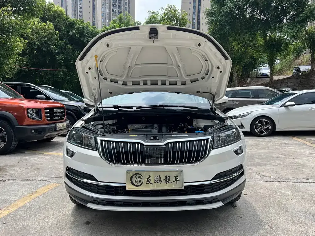 Skoda Karoq — фото 5