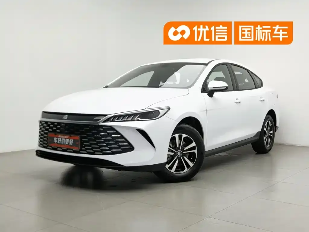 BYD Qin PLUS — фото 1