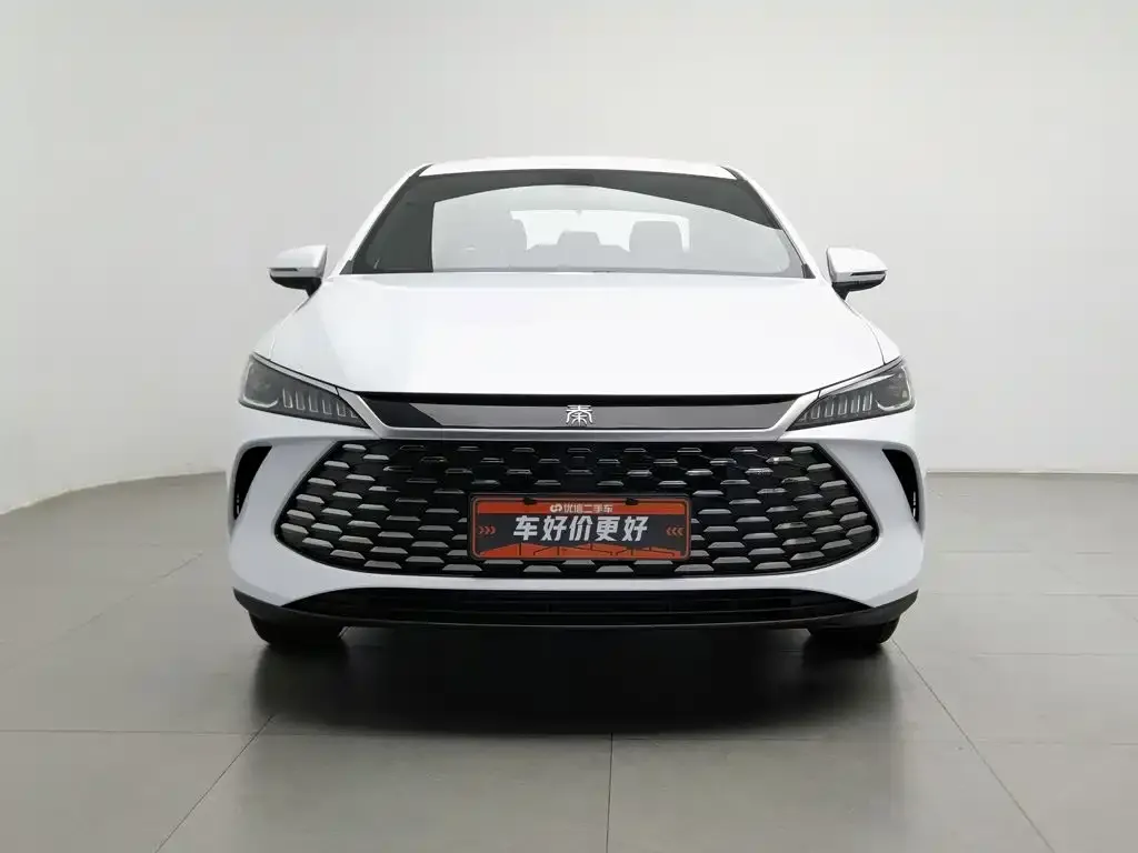 BYD Qin PLUS — фото 10