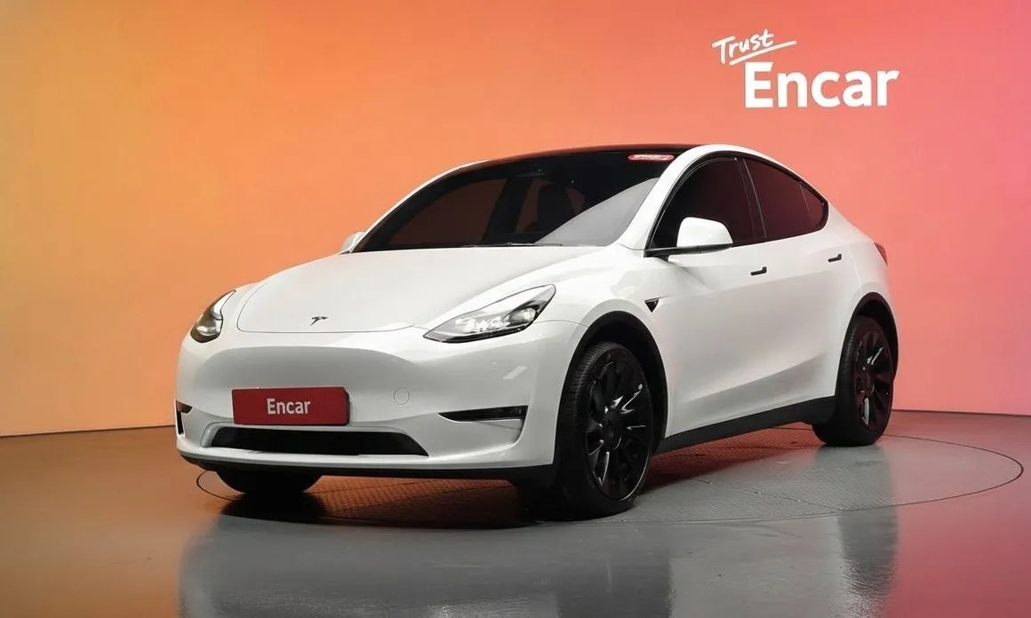 Tesla Model Y — фото 1