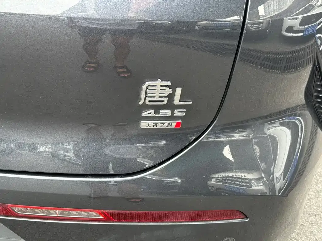BYD Tang L — фото 6