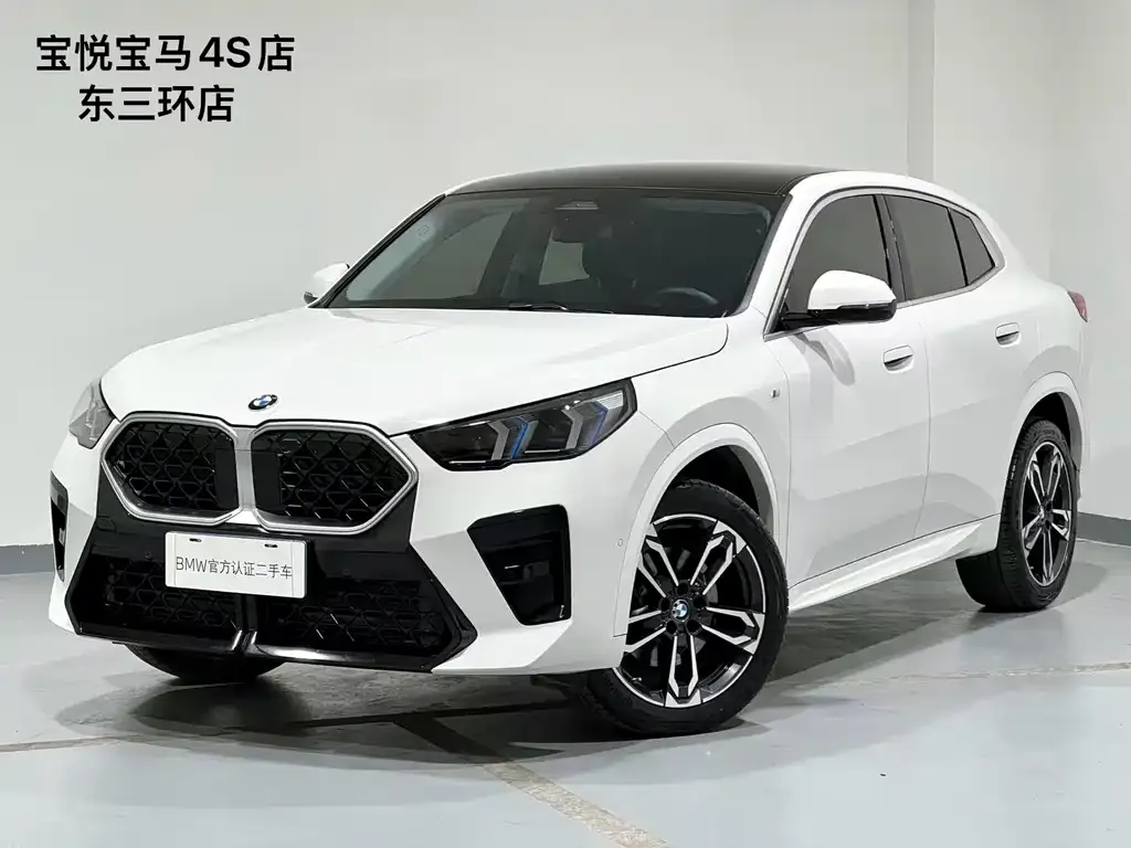 BMW X2 (Import) — фото 1