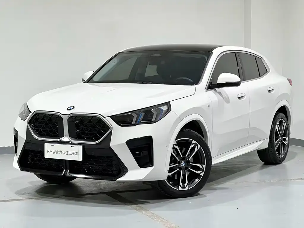 BMW X2 (Import) — фото 5