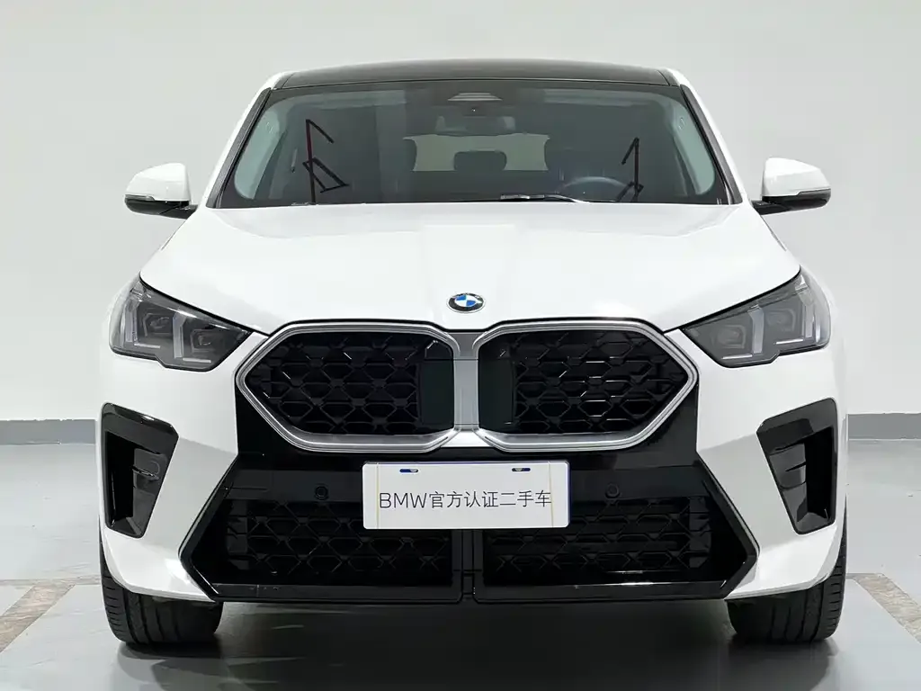 BMW X2 (Import) — фото 6