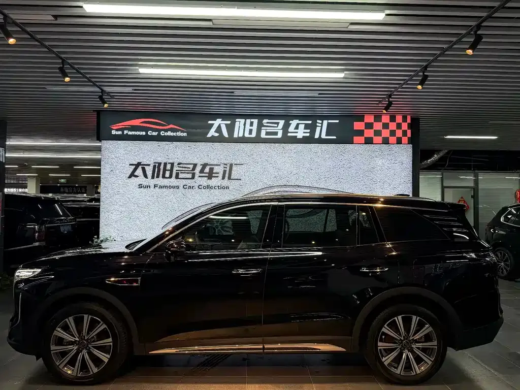 Hongqi HS7 PHEV — фото 8