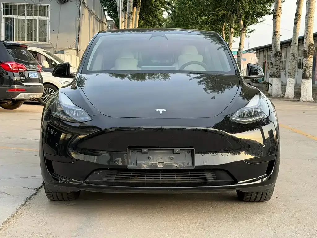 Tesla Model Y — фото 1