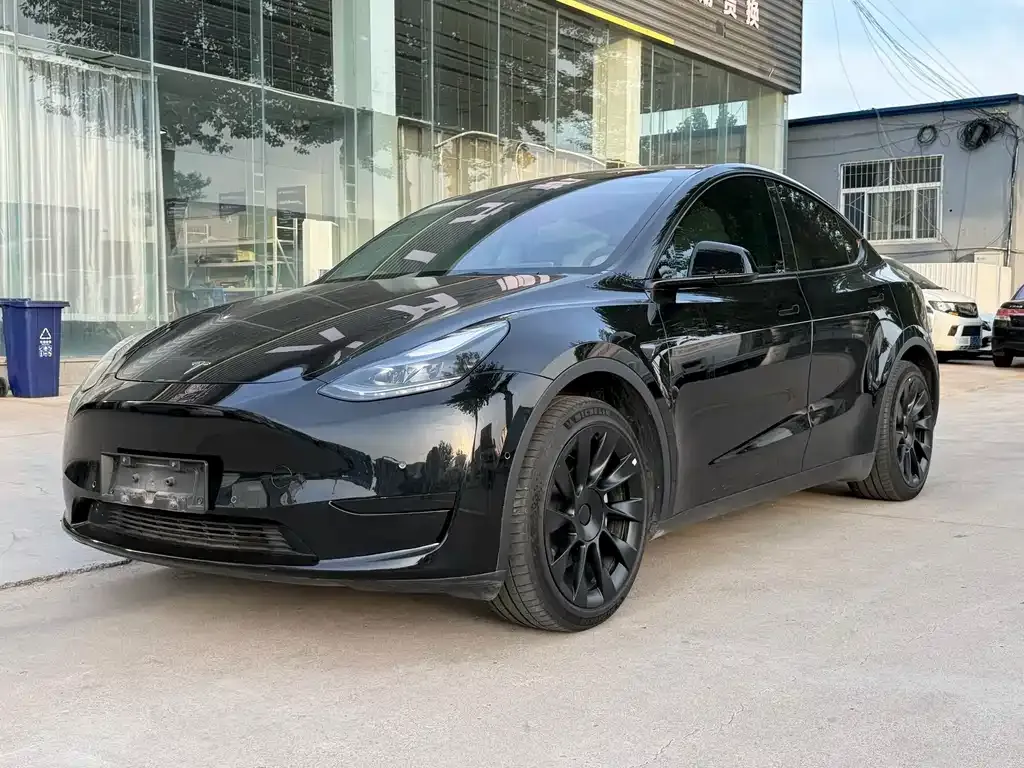 Tesla Model Y — фото 9