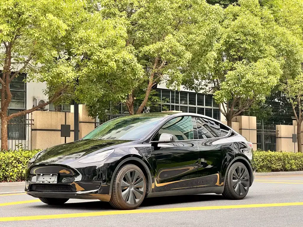 Tesla Model Y — фото 1