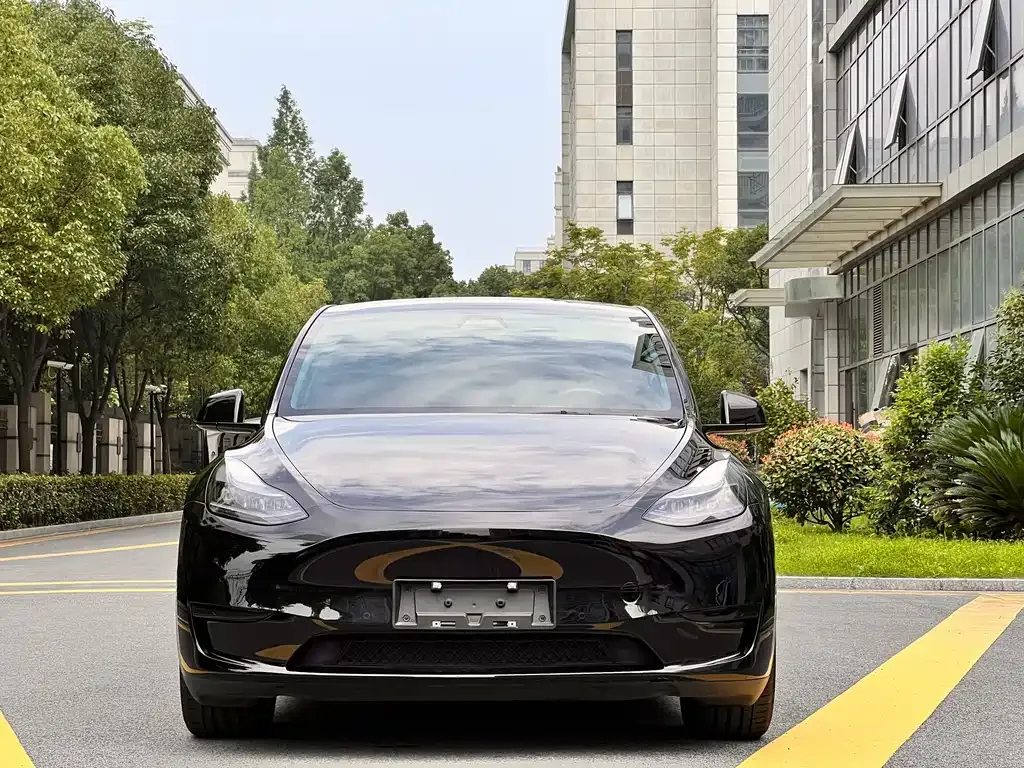 Tesla Model Y — фото 6