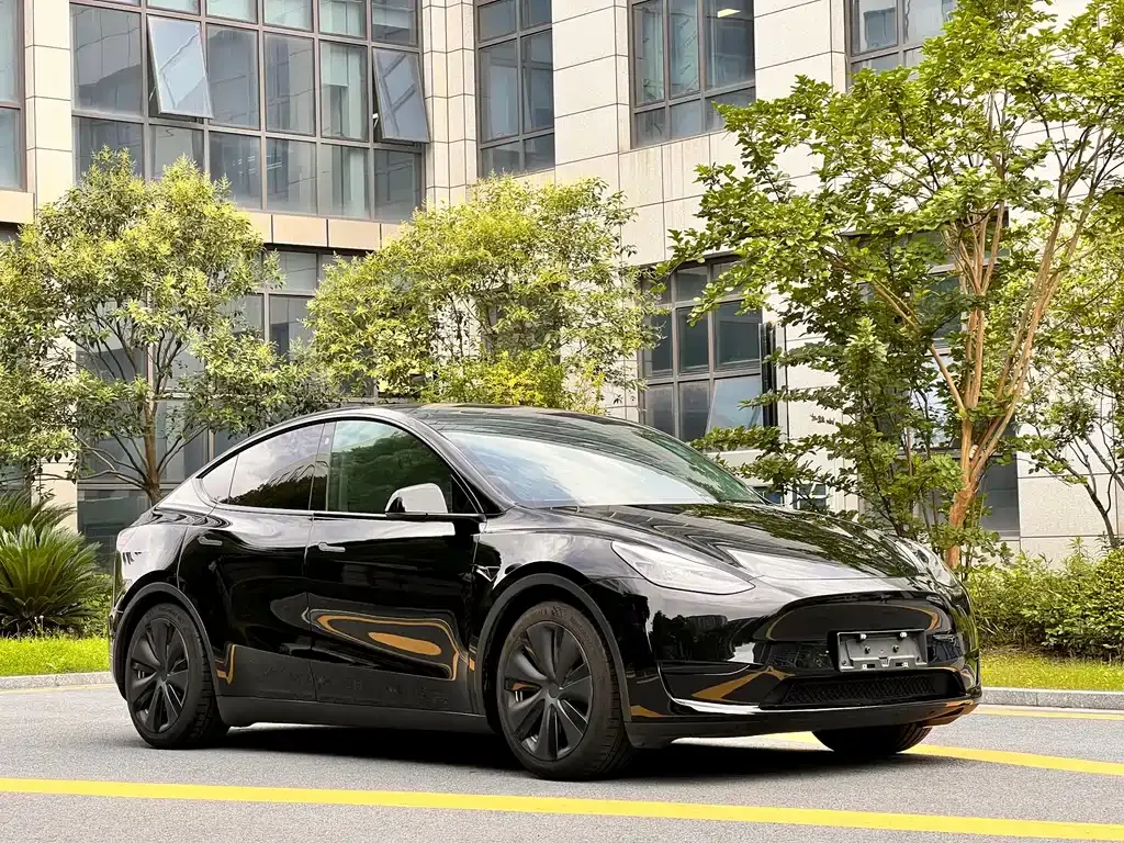 Tesla Model Y — фото 10