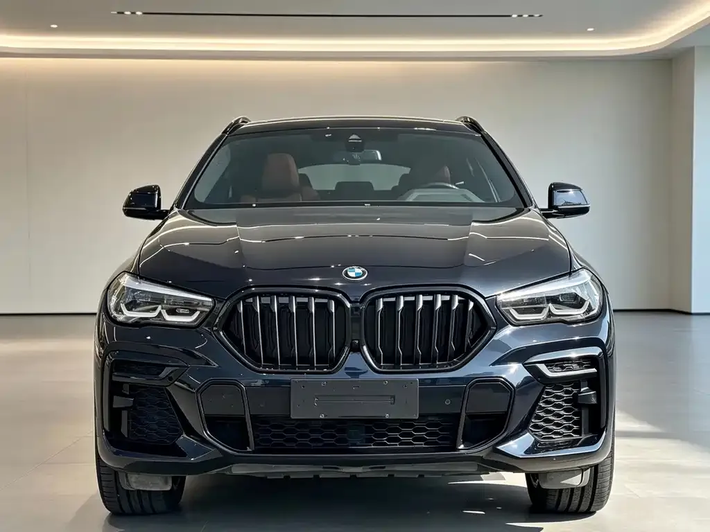 BMW X6 — фото 1