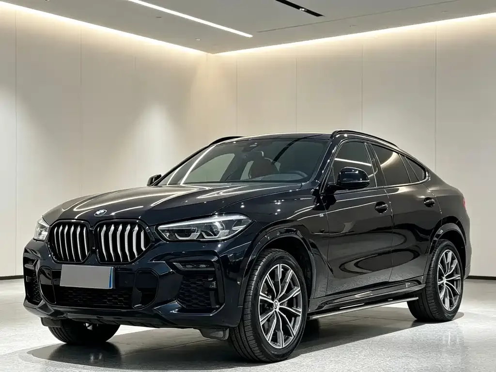 BMW X6 — фото 5