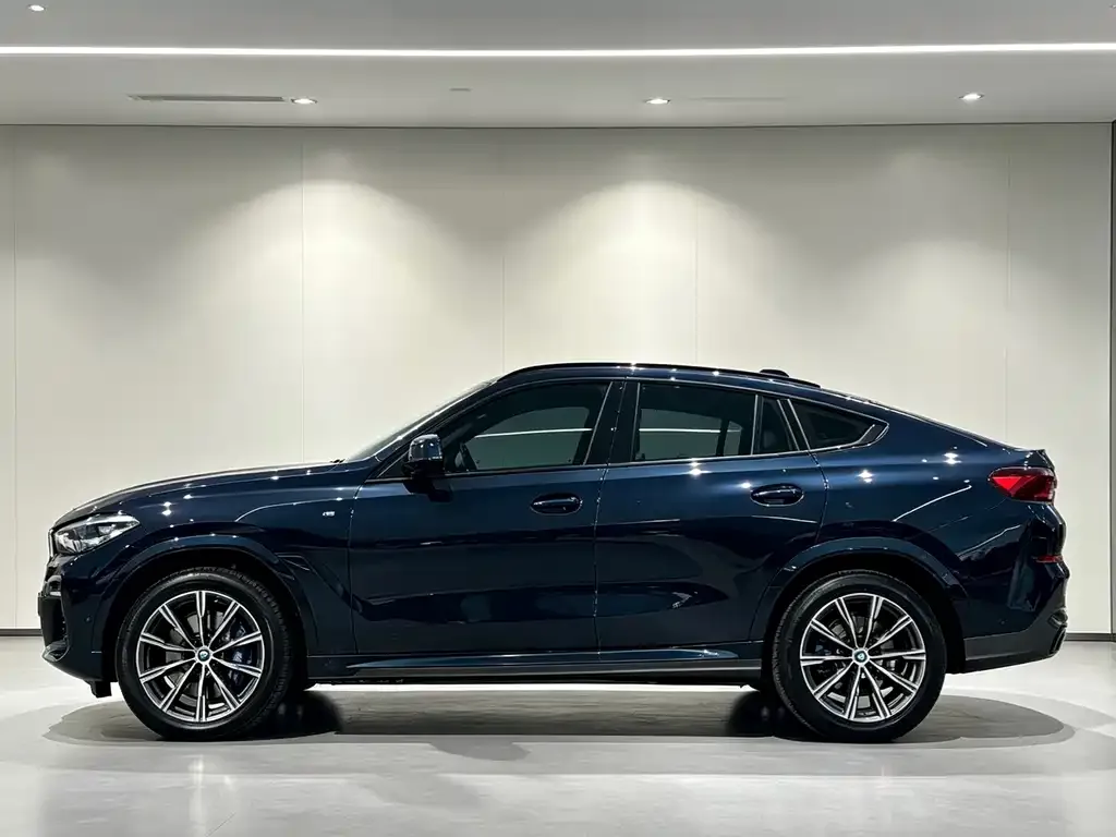 BMW X6 — фото 2