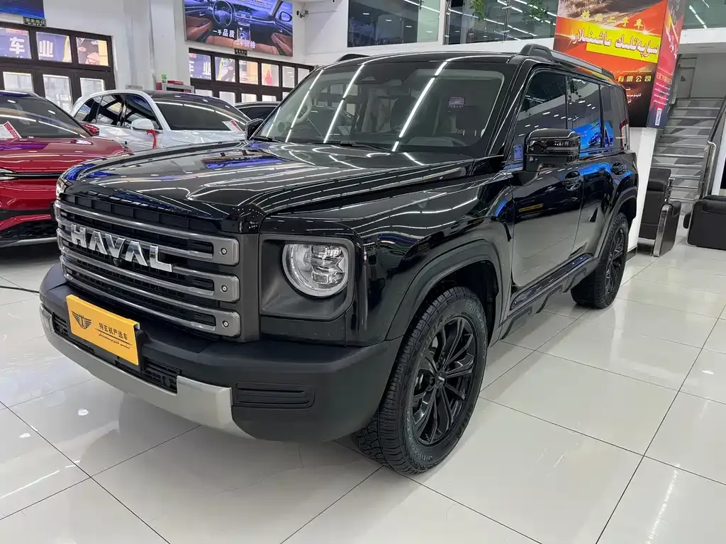 Haval Menglong New Energy — фото 1