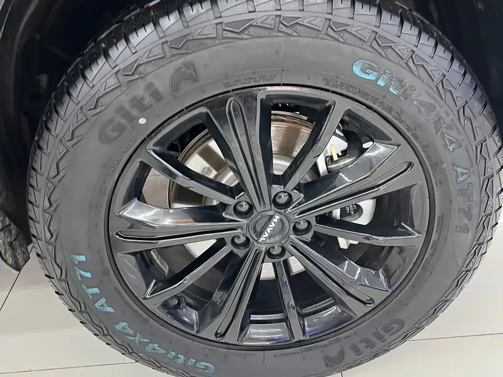 Haval Menglong New Energy — фото 10