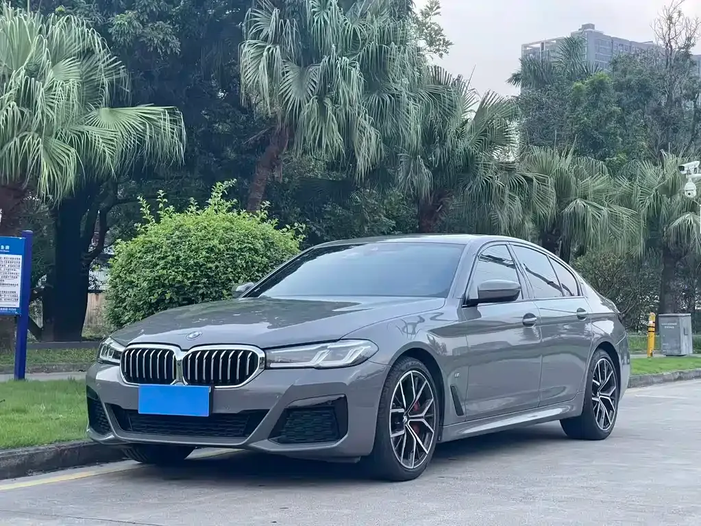 BMW 5 Series (Import) — фото 1