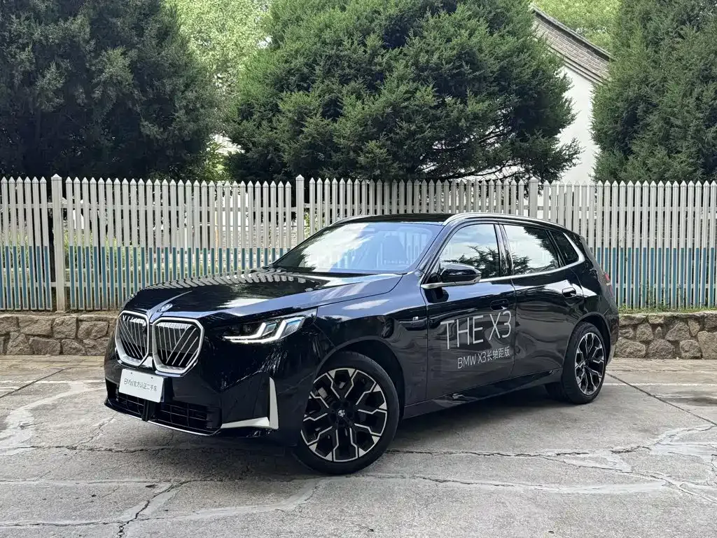 BMW X3 — фото 1