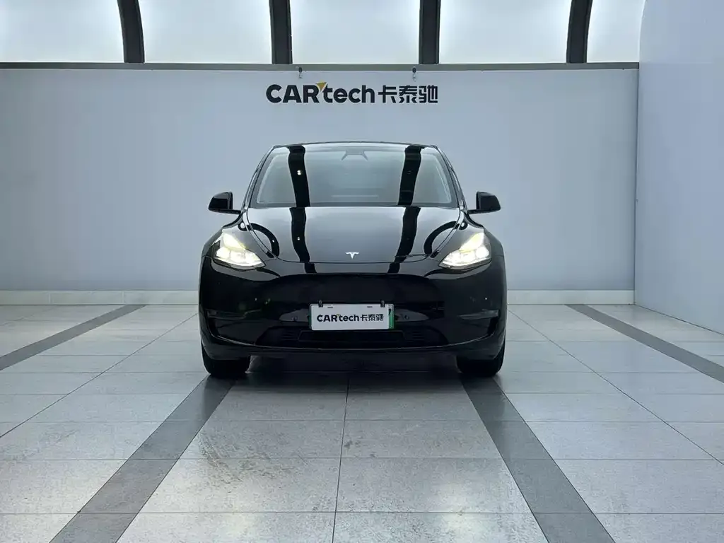 Tesla Model Y — фото 2