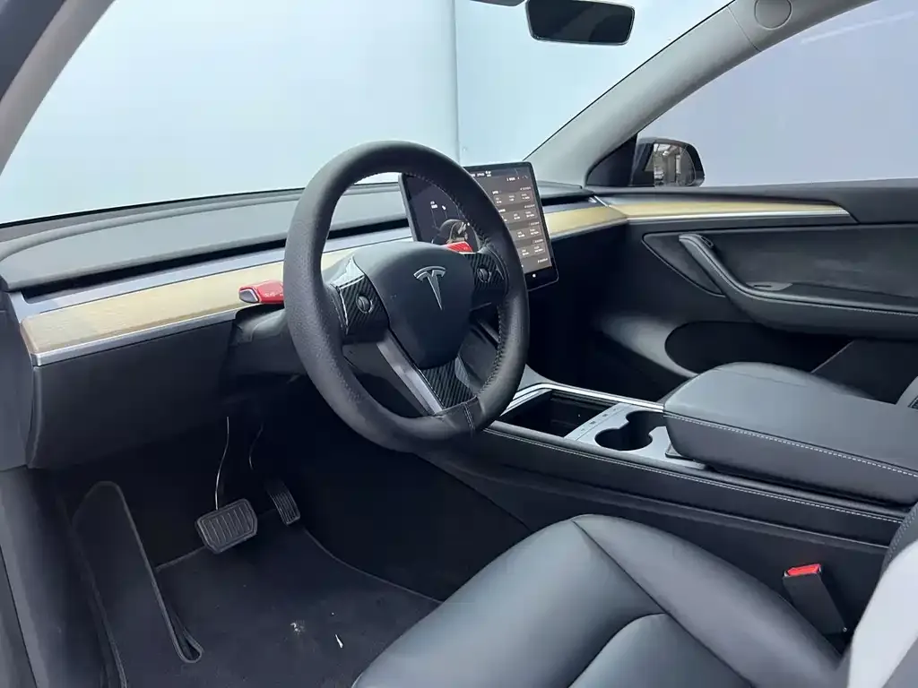 Tesla Model Y — фото 10