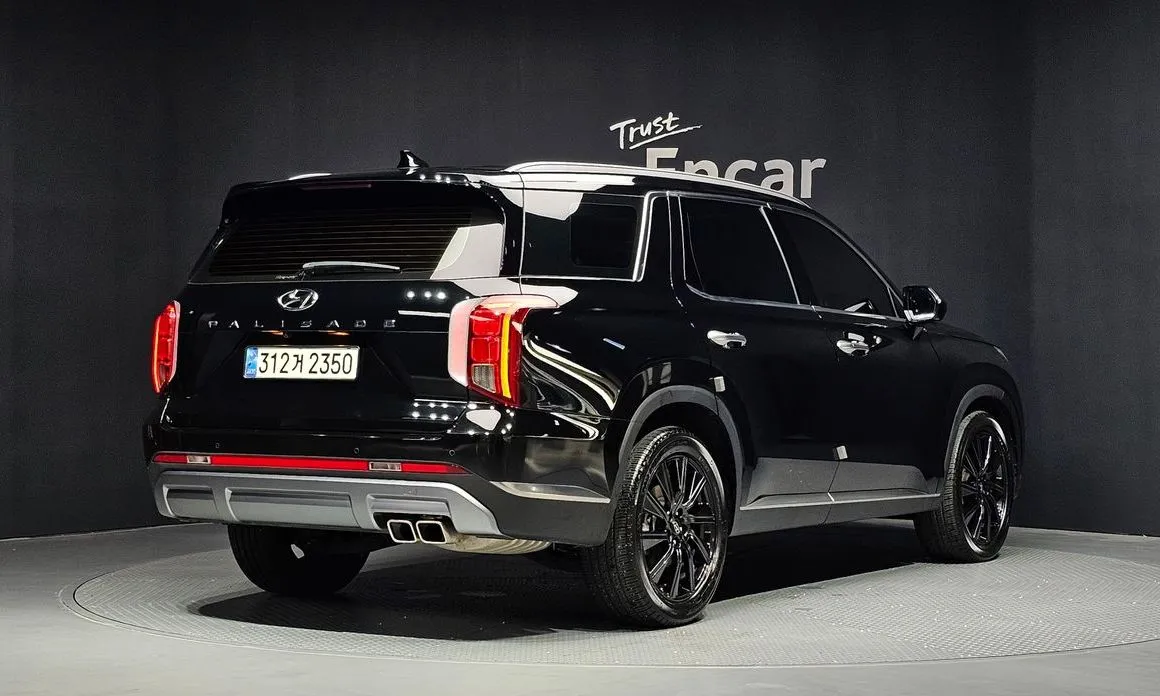 Hyundai Palisade — фото 10