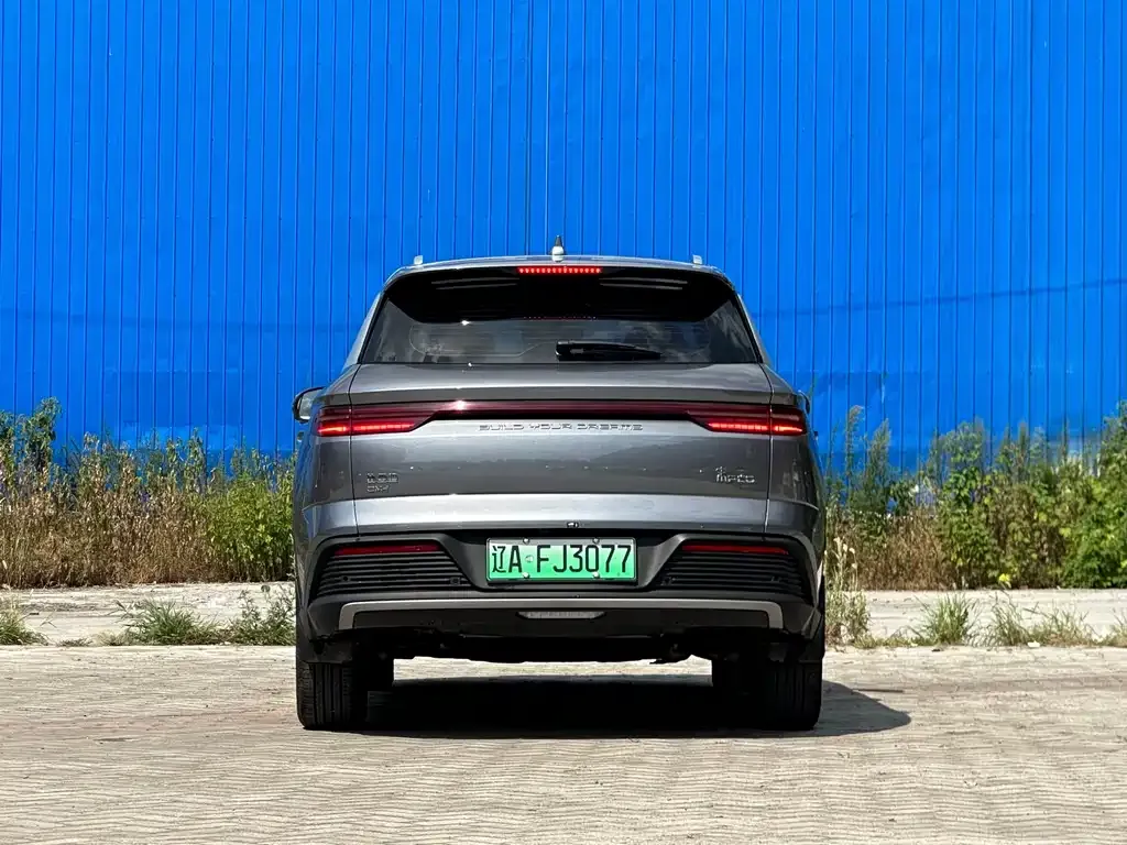 BYD Pro New Energy — фото 7