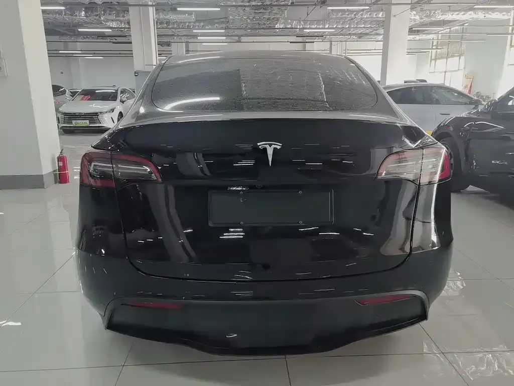 Tesla Model Y — фото 4