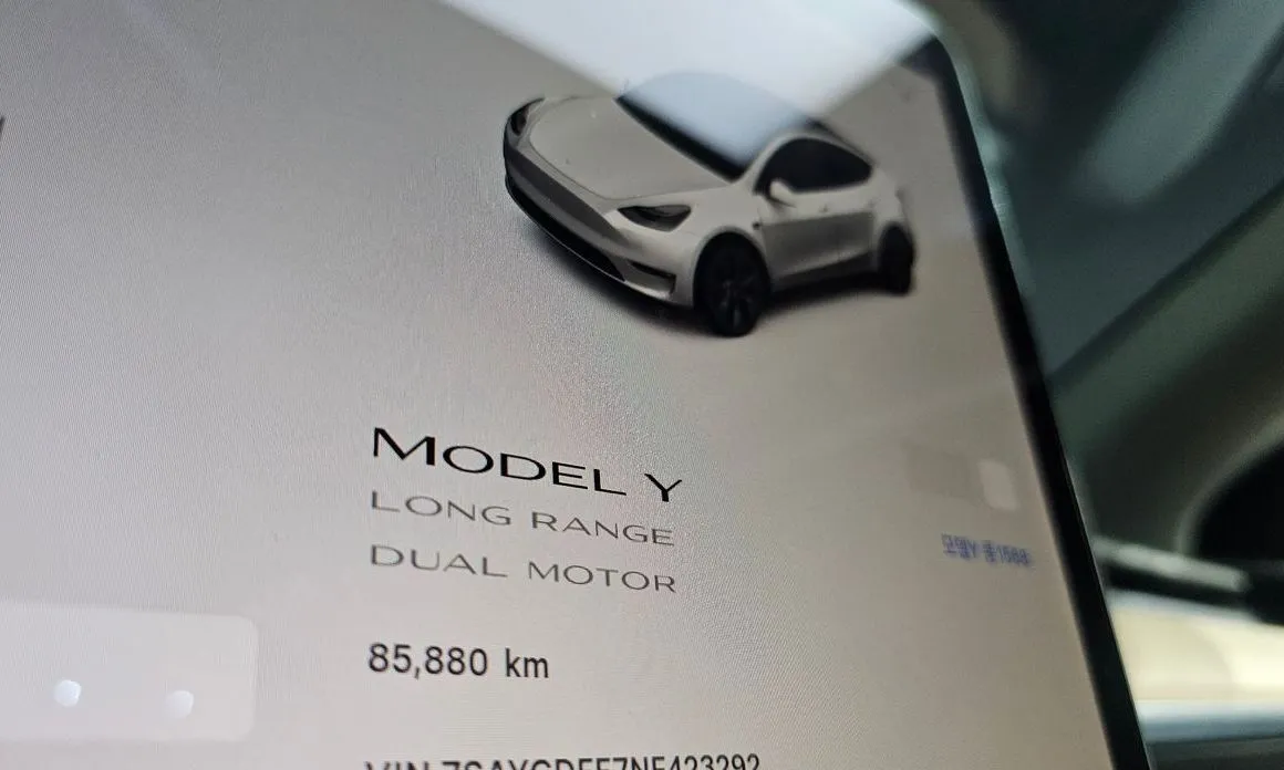 Tesla Model Y — фото 6