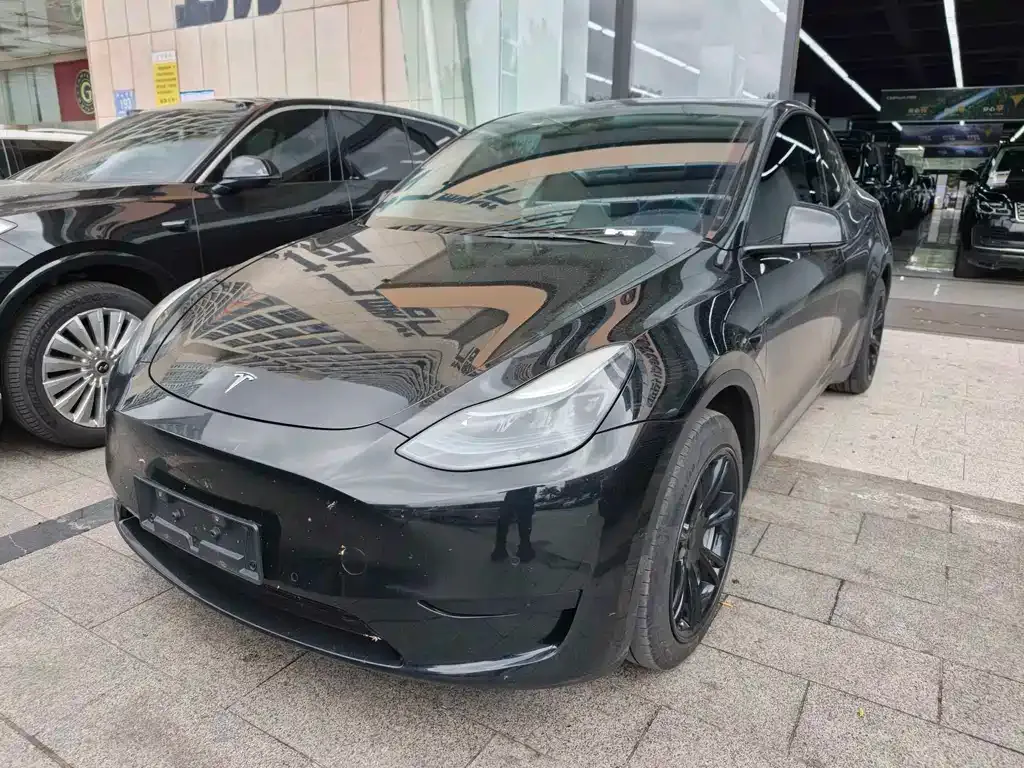 Tesla Model Y — фото 1