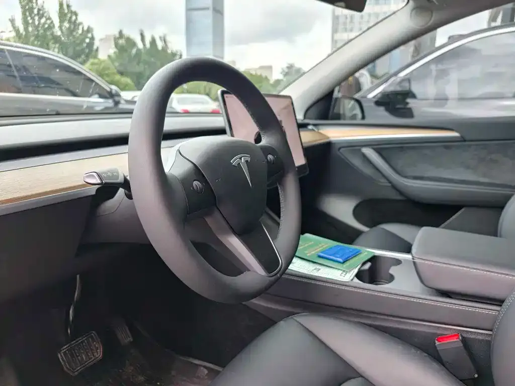 Tesla Model Y — фото 2