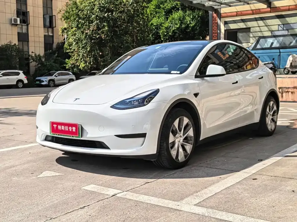 Tesla Model Y — фото 1