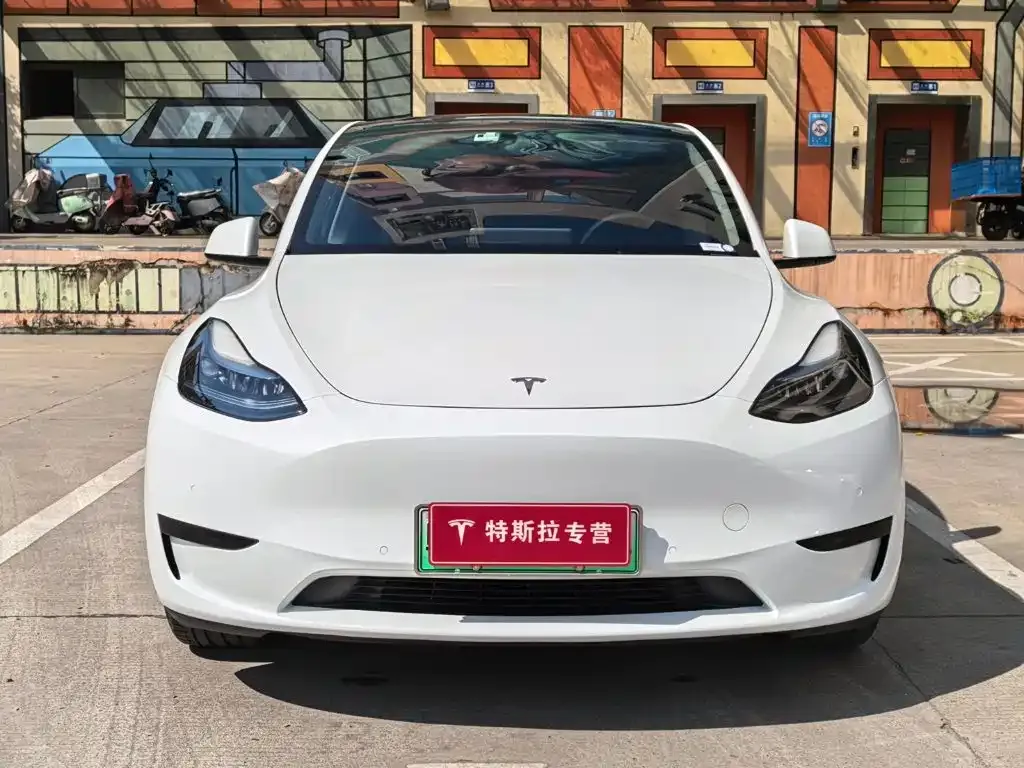 Tesla Model Y — фото 6