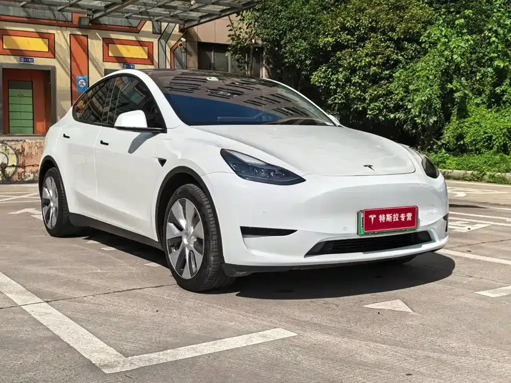 Tesla Model Y — фото 10
