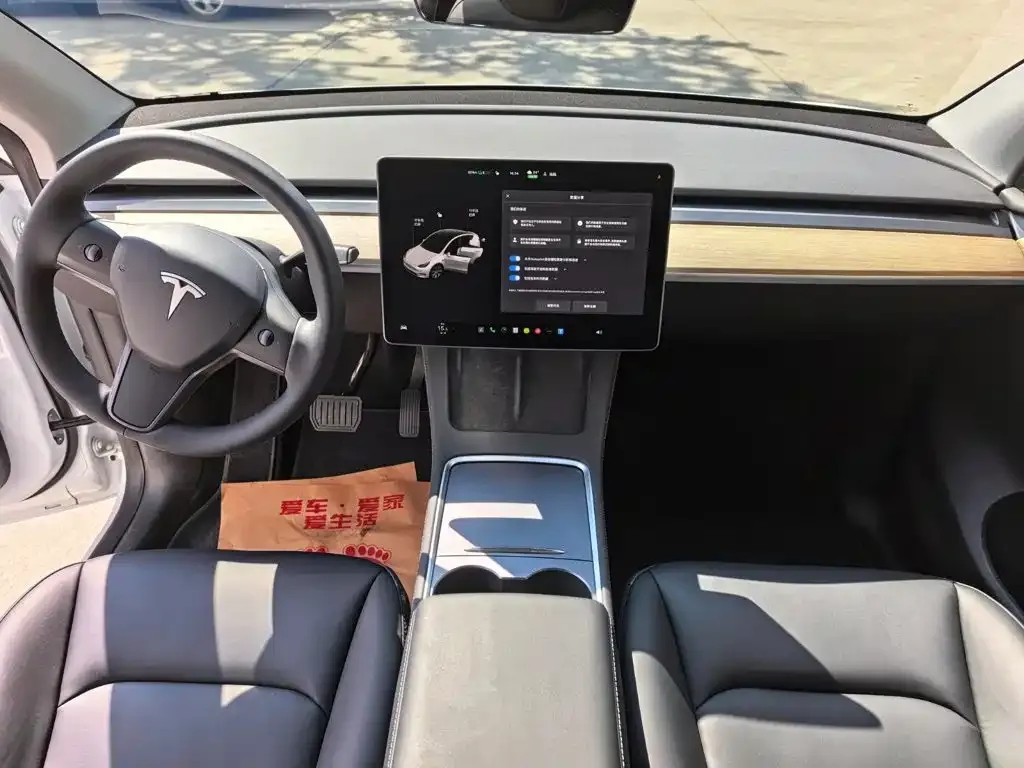 Tesla Model Y — фото 9