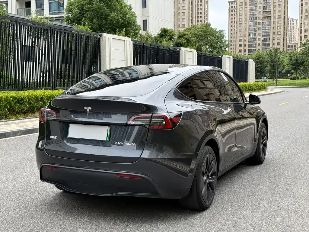 Tesla Model Y — фото 10