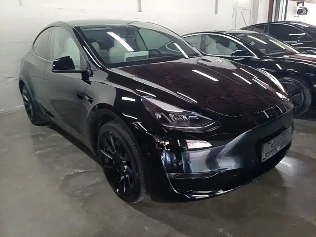 Tesla Model Y — фото 10