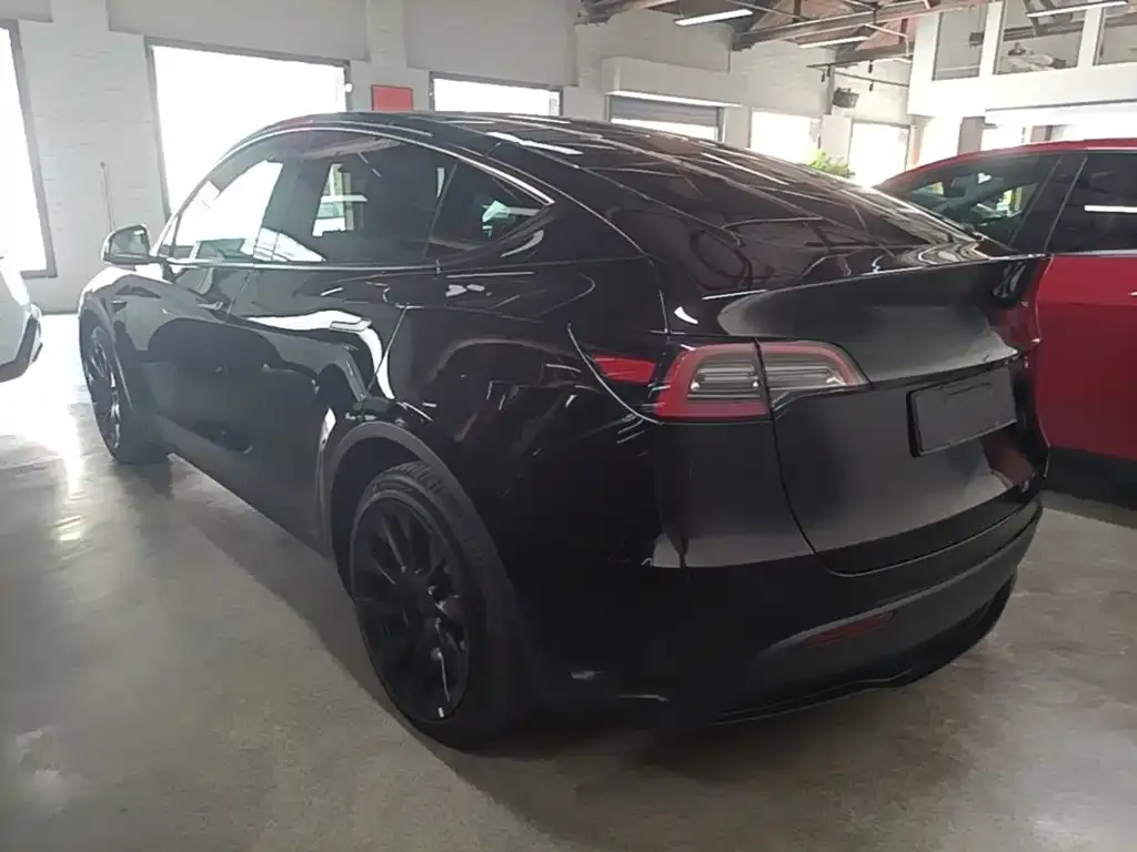 Tesla Model Y — фото 2
