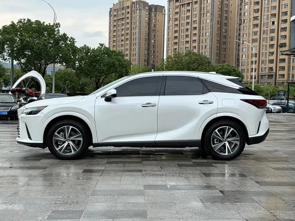 Lexus RX — фото 10